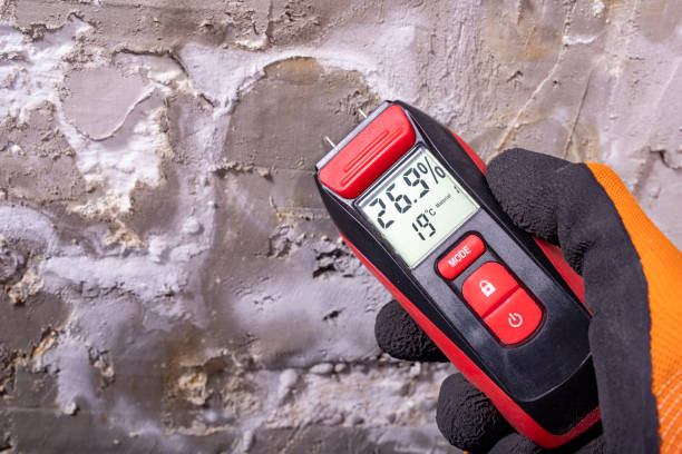 Mold Removal Process in Bogalusa, LA
